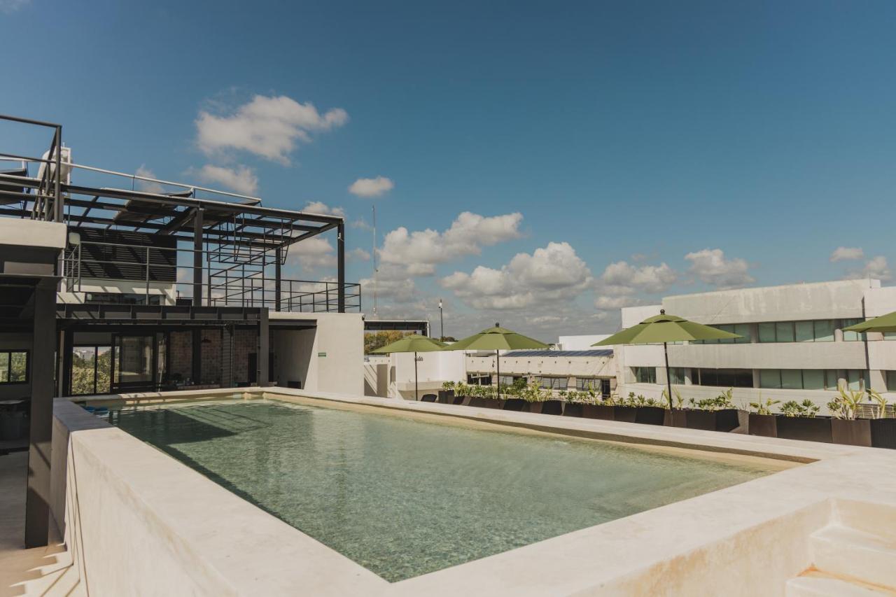 קנקון Caleta Hostel Rooftop & Pool מראה חיצוני תמונה