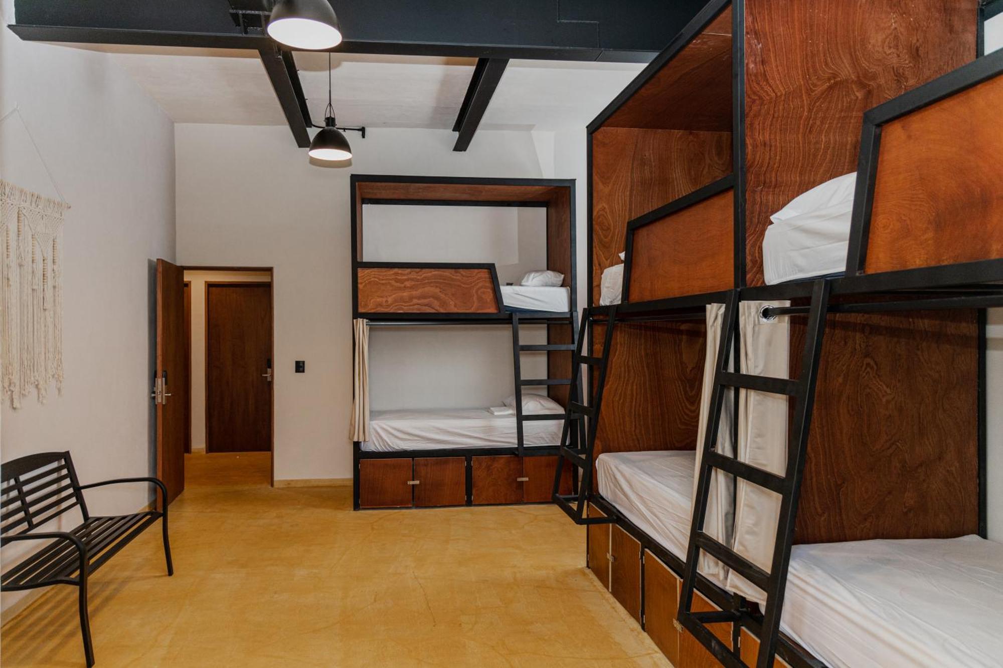 קנקון Caleta Hostel Rooftop & Pool מראה חיצוני תמונה